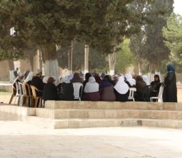 المرابطات في المسجد الأقصى: قصص لبطولات يومية