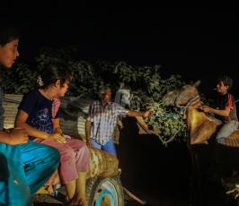 جورة الصفطاوي  ظل استمرار أزمة الكهرباء ‫(39977473)‬ ‫‬