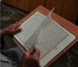 مواطنون من غزة يرتلون القراءن في المسجد العمري الكبير في الثامن من رمضان المبارك