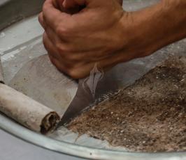  ايس كريم جديدة في غزة (8)
