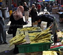 "الفسيخ".. الأكلة التي تُزين عيدَ الغزيين
