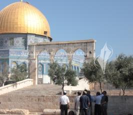 طواقم إعلامية وجماعات يهودية متطرفة تقتحم المسجد الأقصى