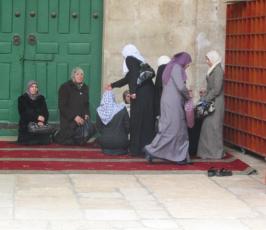 المرابطات في المسجد الأقصى: قصص لبطولات يومية