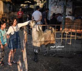 اضحى 2020 ‫(59924195)‬ ‫‬.jpg