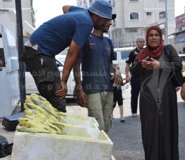 "الفسيخ".. الأكلة التي تُزين عيدَ الغزيين
