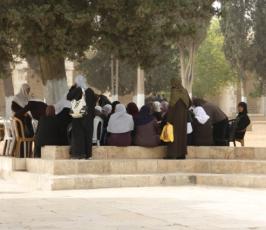 المرابطات في المسجد الأقصى: قصص لبطولات يومية
