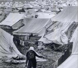 نكبة فلسطين .. ما لا تنساه الذاكرة