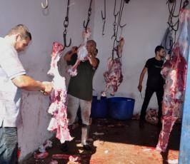 الجهاد تنفذ مشروع أضاحي العيد بغزة