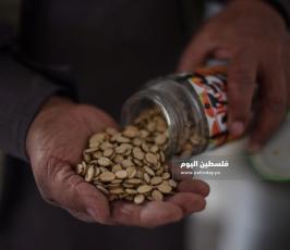 بنك البذور ‫(174278532)‬ ‫‬.jpg
