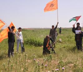 بالصور:في ذكرى يوم الأرض.. غزيون يزرعون الأشجار على الحدود