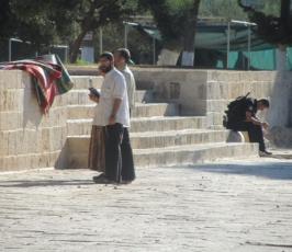 صور مجندات ومخابرات ومستوطنين وسياح يقتحمون المسجد الأقصى