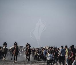 سباق للخيول على انقاذ مطار غزة  ‫(41353737)‬ ‫‬.jpeg