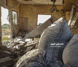 عائلة النسر  (5).jpeg