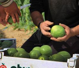 مزارعون