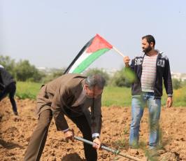 صور زراعة اشتال الزيتون على الحدود  ‫(38273548)‬ ‫‬.JPG