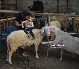 عيد الاضحى ‫(173447274)‬ ‫‬.jpg