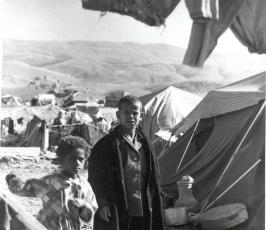 نكبة فلسطين .. ما لا تنساه الذاكرة
