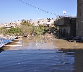عدسة فلسطين اليوم الإخبارية تتجول بين الأحياء المنكوبة بشارع النفق