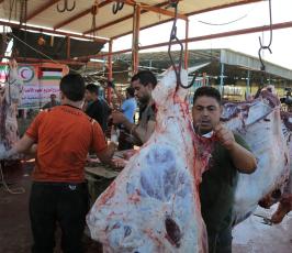  توزع لحوم الأضاحي على 25 ألف أسرة فلسطينية (10)