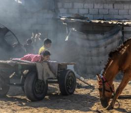 منطقة النهر البارد فى جنوب القطاع ‫(1)‬.JPG