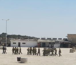 صور مجندات ومخابرات ومستوطنين وسياح يقتحمون المسجد الأقصى