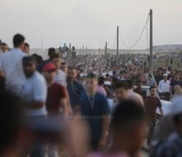  خطاب النخالة قرب الحدود شرق قطاع غزة  ‫(43123269)‬ ‫‬.JPG