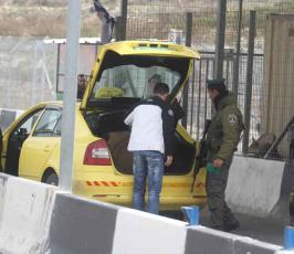 خاص فلسطين اليوم..نشطاء فلسطينيون يعودون إلى باب الكرامة شمال غرب القدس المحتلة