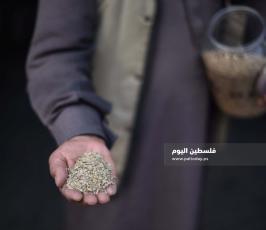 بنك البذور ‫(174278537)‬ ‫‬.jpg