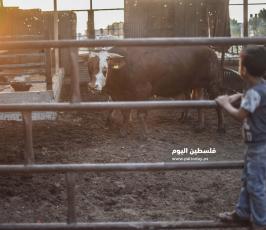 عيد الاضحى ‫(173447272)‬ ‫‬.jpg