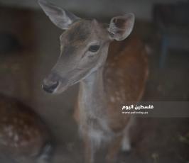 حديقة حيوان ‫(360031254)‬ ‫‬.JPG