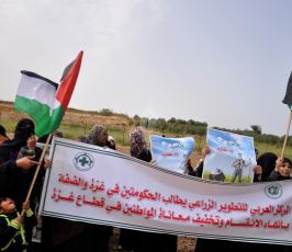 ناشطون يزرعون الزيتون في ذكرى يوم الأرض ‫(281209246)‬ ‫‬