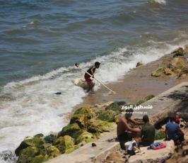 بحر غزة رزق للغلابا ومتعة للناظرين (10).JPG