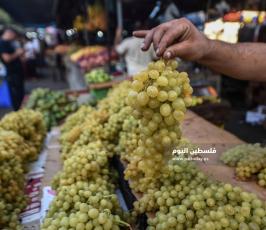 عنب ‫(174473800)‬ ‫‬.jpg