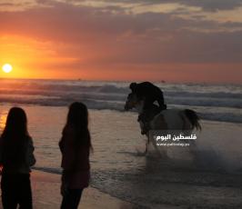 عام 2019 (2).jpg