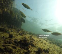 محمد أسعد ‫(38928912)‬ ‫‬.jpg