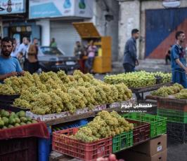 عنب ‫(1)‬.jpg