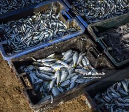 بحر خانيونس ‫(171349423)‬ ‫‬.jpg