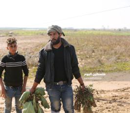 فتح سدود مياه الأمطار على أراضي المواطنين شرق حي الشجاعية (2).JPG