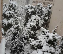 إيران  خلال المنخفض الجوي   ‫(44564998)‬ ‫‬.jpg