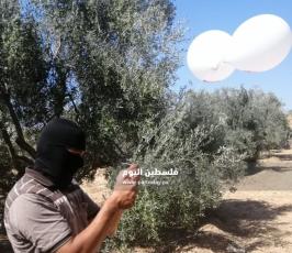 وحدة برق  (4).jpeg
