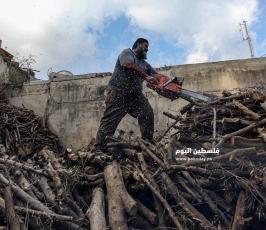 بيع الحطب مع اقترب فصل الشتاء (5).jpg