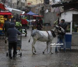 سوق الشجاعية (8).jpg
