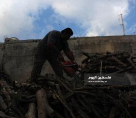 بيع الحطب مع اقترب فصل الشتاء (4).jpg