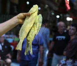 فسيخ فى أسواق غزة  ‫(38928898)‬ ‫‬.JPG