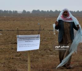 محاصيل زراعية (6).jpeg