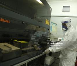 فحص كورونا بغزة  (9).JPG