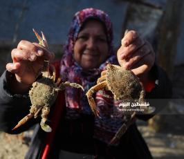 غزة امرأة فلسطينية تجاهد معاناة الحياة ببيع الأسماك في الأسواق (10).jpg