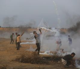 مسيرات العودة ‫(42271255)‬ ‫‬.jpg