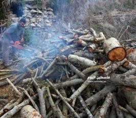 بيع الحطب مع اقترب فصل الشتاء (20).jpg