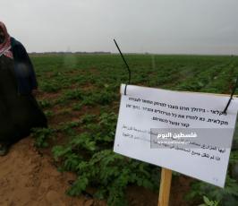 محاصيل زراعية (10).jpeg